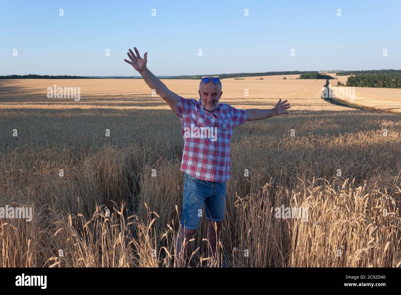 Un homme mature se tient dans un champ de blé. Il a étendu ses bras et souriait. Porter une chemise à carreaux et un short, des lunettes de soleil sur le front. Banque D'Images