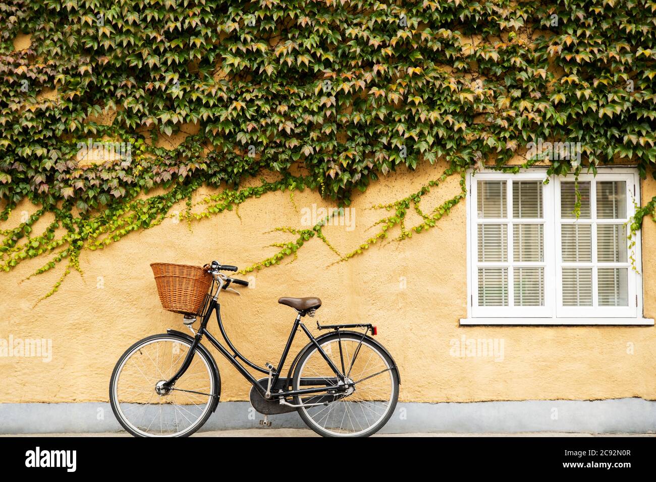 Vélo à l'ancienne avec panier contre Ivy bâtiment couvert à Oxford Banque D'Images