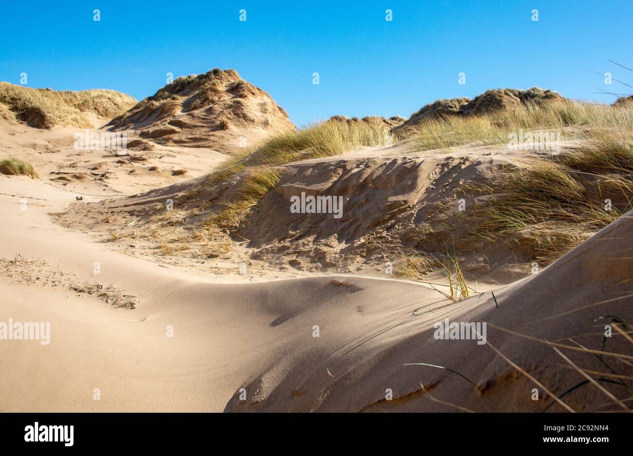 Dunes de sable, plage de Formby, Formby, Merseyside. Banque D'Images