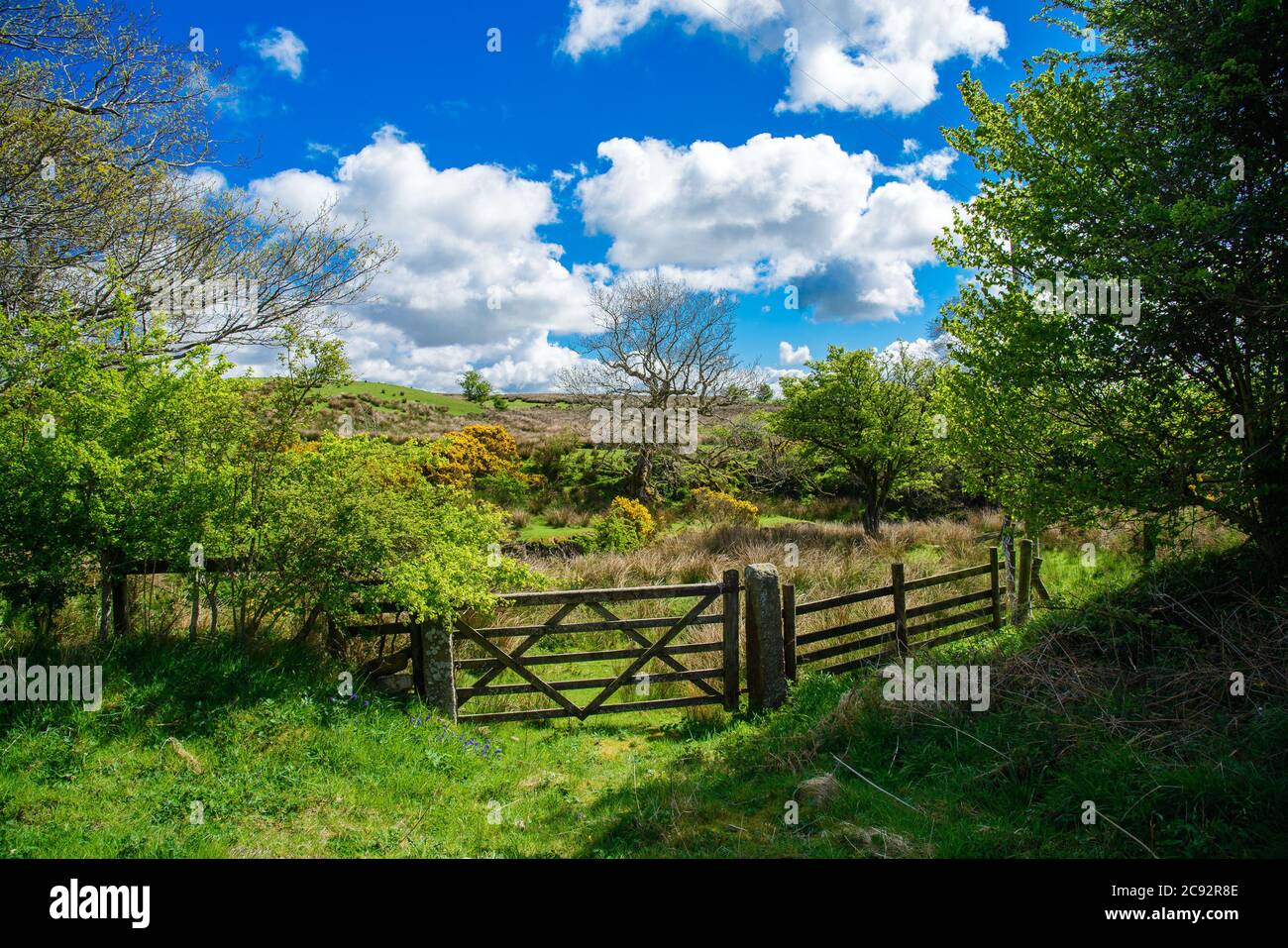 A Field Gate, Chipping, Preston, Lancashire, Royaume-Uni Banque D'Images