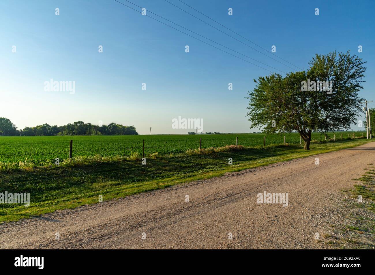 Route de campagne tranquille, Indiana, États-Unis Banque D'Images