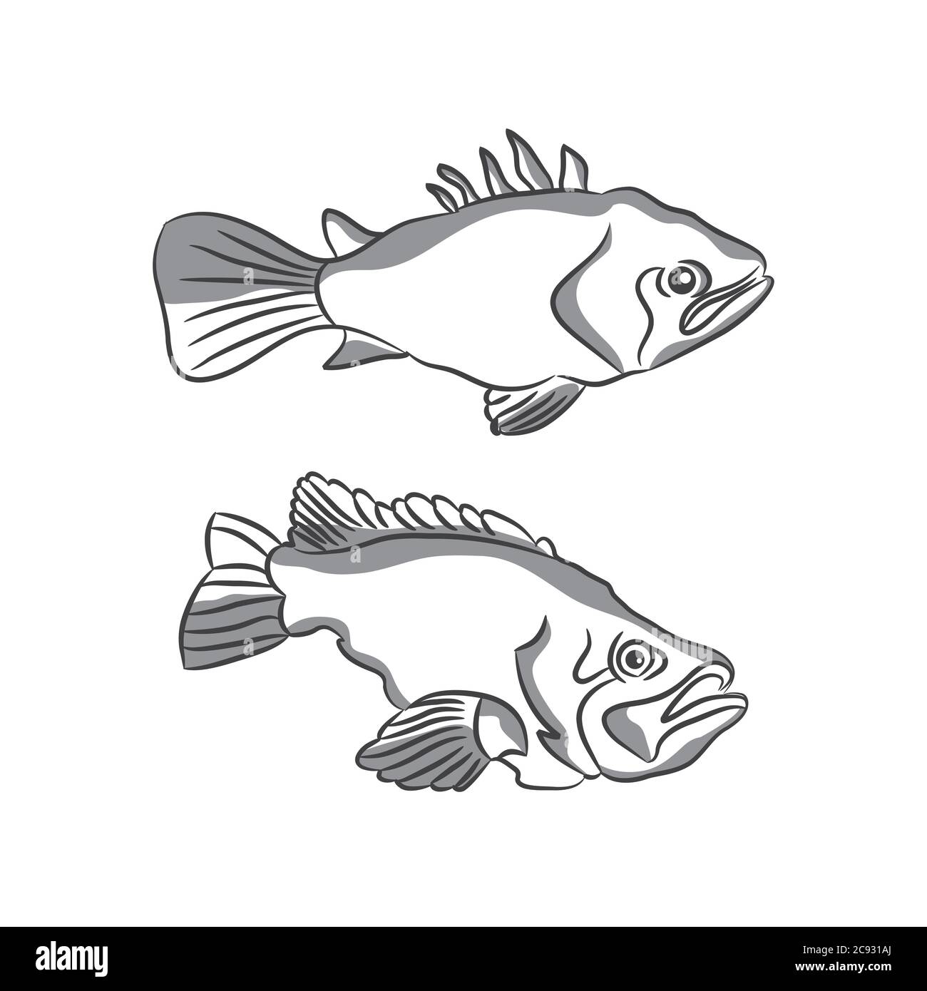 Illustration vectorielle dessinée à la main de poissons isolés sur fond blanc. Style rétro. Illustration de Vecteur
