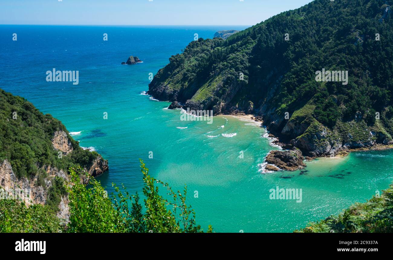 Belle vue sur la baie verdoyante et la mer avec des falaises Banque D'Images