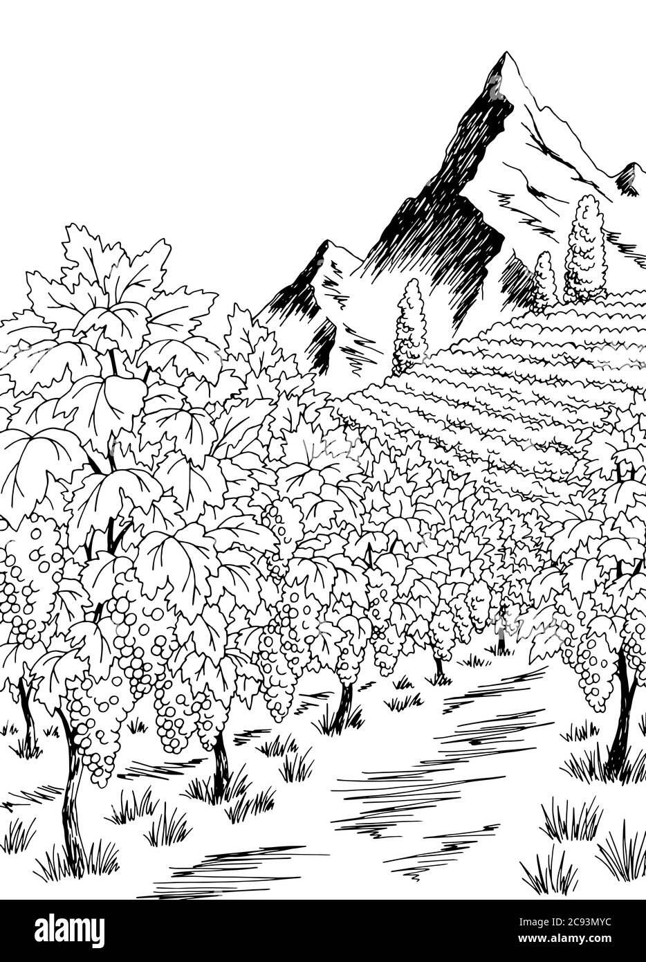 Vigne graphique noir blanc vertical paysage dessin illustration vecteur Illustration de Vecteur