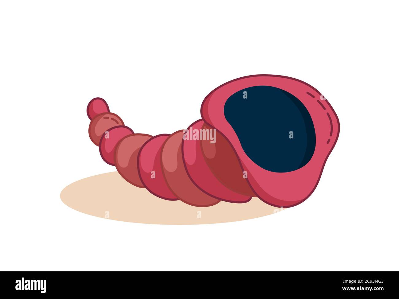 Seashell isolé sur un bacille blanc. Coquille tropicale avec ombre. Illustration vectorielle de dessin animé Illustration de Vecteur