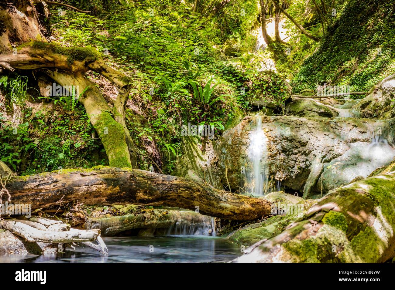 Cascades du ruisseau Rioscuro, à Cinito Romano, Rome, Lazio, Italie. Végétation riche dans les bois. Endroit frais, rafraîchissements de la chaleur estivale. Trekk Banque D'Images