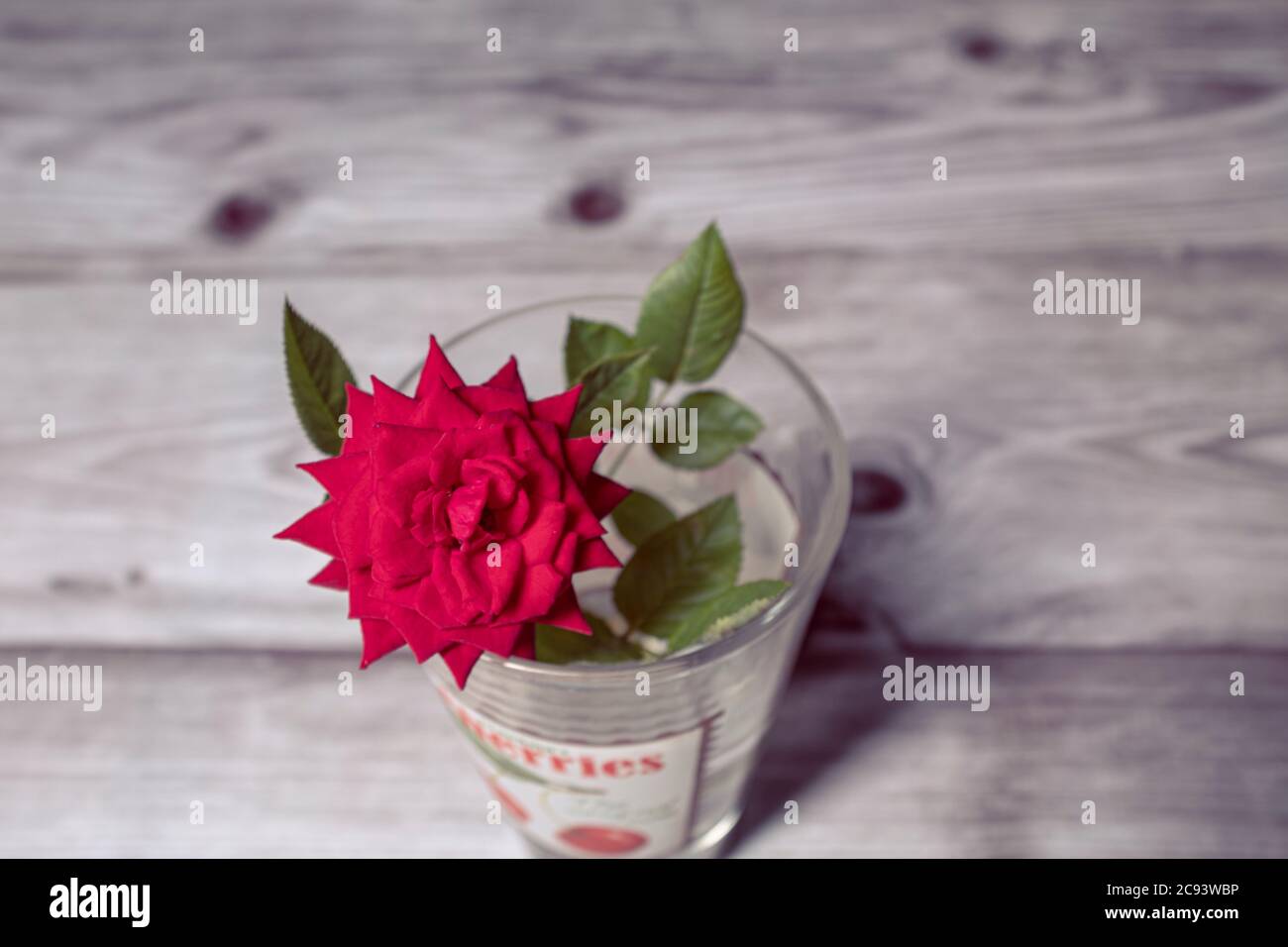 Petite fleur de rose rouge en fleur sur une scène intérieure avec pot de vase en verre sur une planche en bois Banque D'Images
