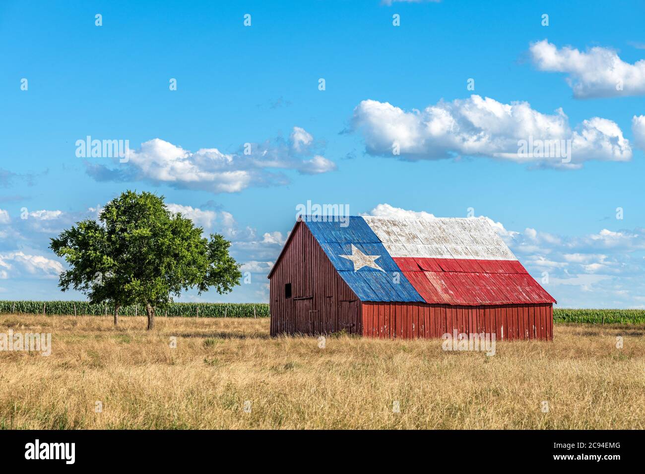 Une ancienne grange abandonnée avec le symbole du Texas peint sur le toit se trouve dans une zone rurale de l'État, encadrée par des terres agricoles. Banque D'Images