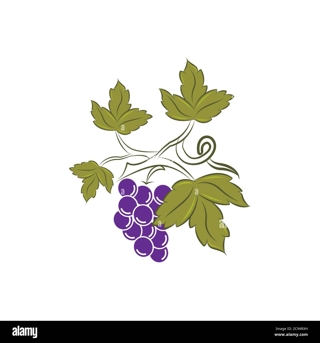 Modèle design logo et emblème goût et liquide pour la vigne raisins