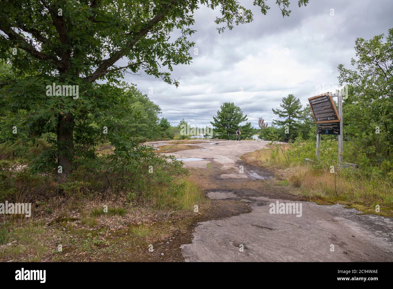 Roche glaciaire avec végétation et arbres sous ciel orageux à la réserve naturelle de Torrance Barrens en Ontario Canada Banque D'Images