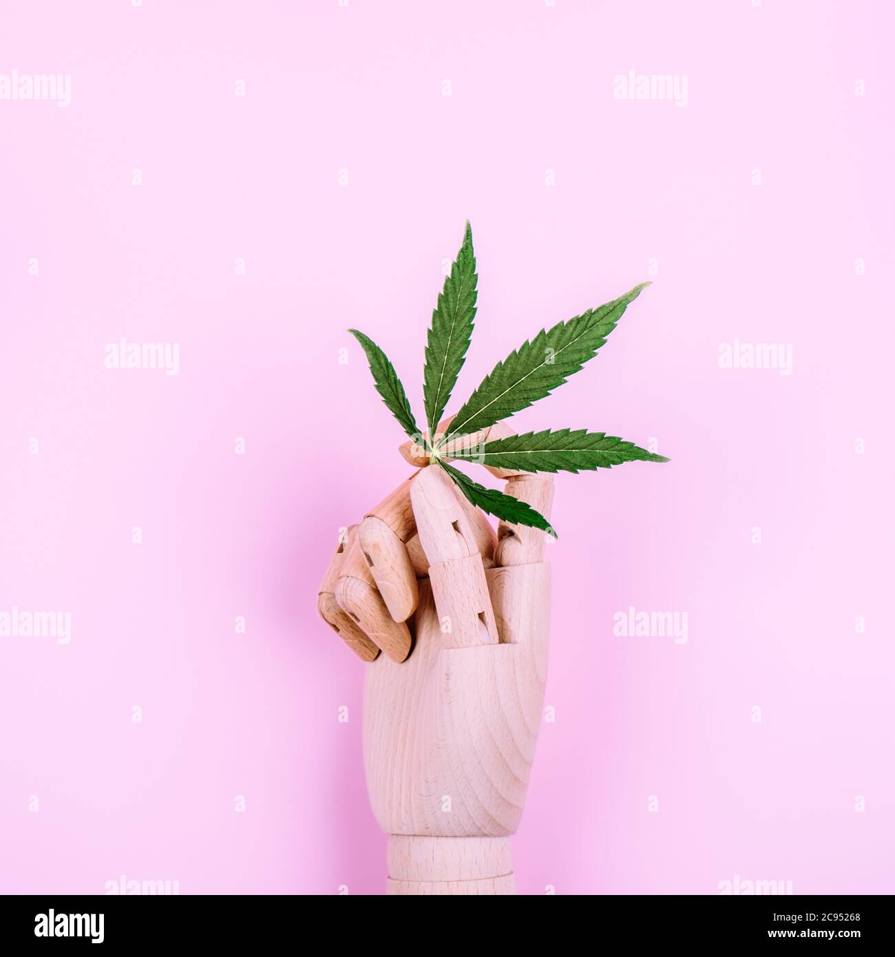 Branche de cannabis dans une main artificielle en bois sur fond rose. Banque D'Images