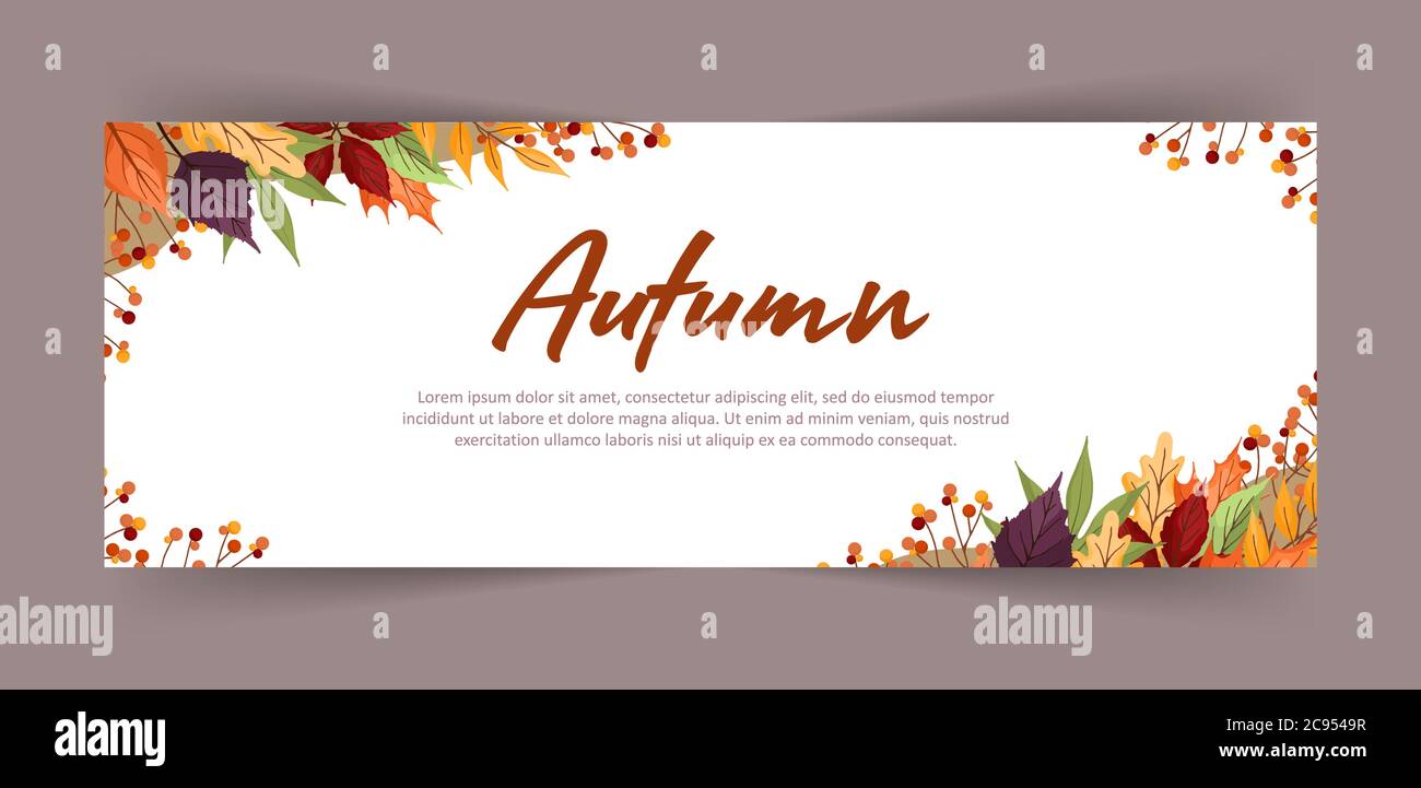Bannière avec feuilles et branches colorées d'érable d'automne, de rowan, d'aulne et de peuplier faux-tremble. Conception Web. Illustration vectorielle de style plat. Illustration de Vecteur
