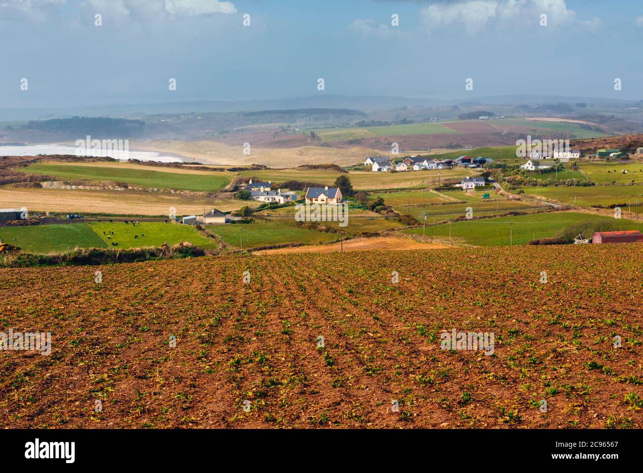 Scène rurale près de Castlefreke, comté de Cork, West Cork, République d'Irlande. Eire. Banque D'Images