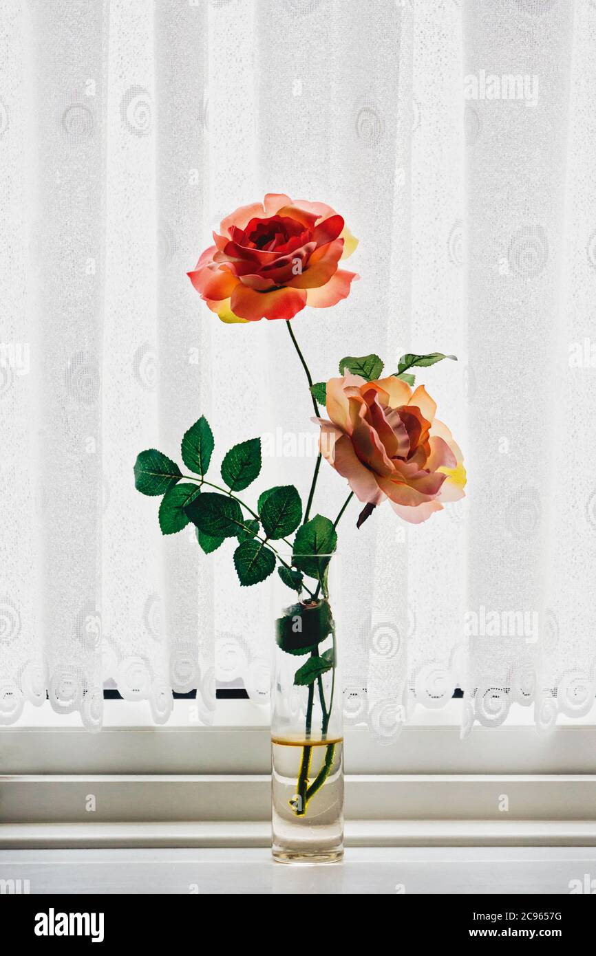 Fleurs en plastique dans l'eau dans un vase sur un seuil de fenêtre. Banque D'Images