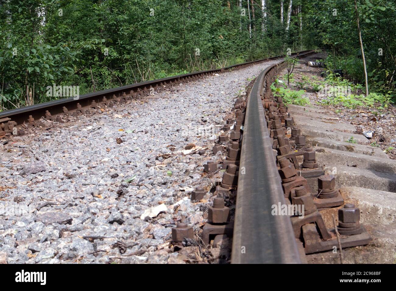 Ancienne voie de chemin de fer de forêt avec des rails rouillés allant dans la distance, ton sépia Banque D'Images