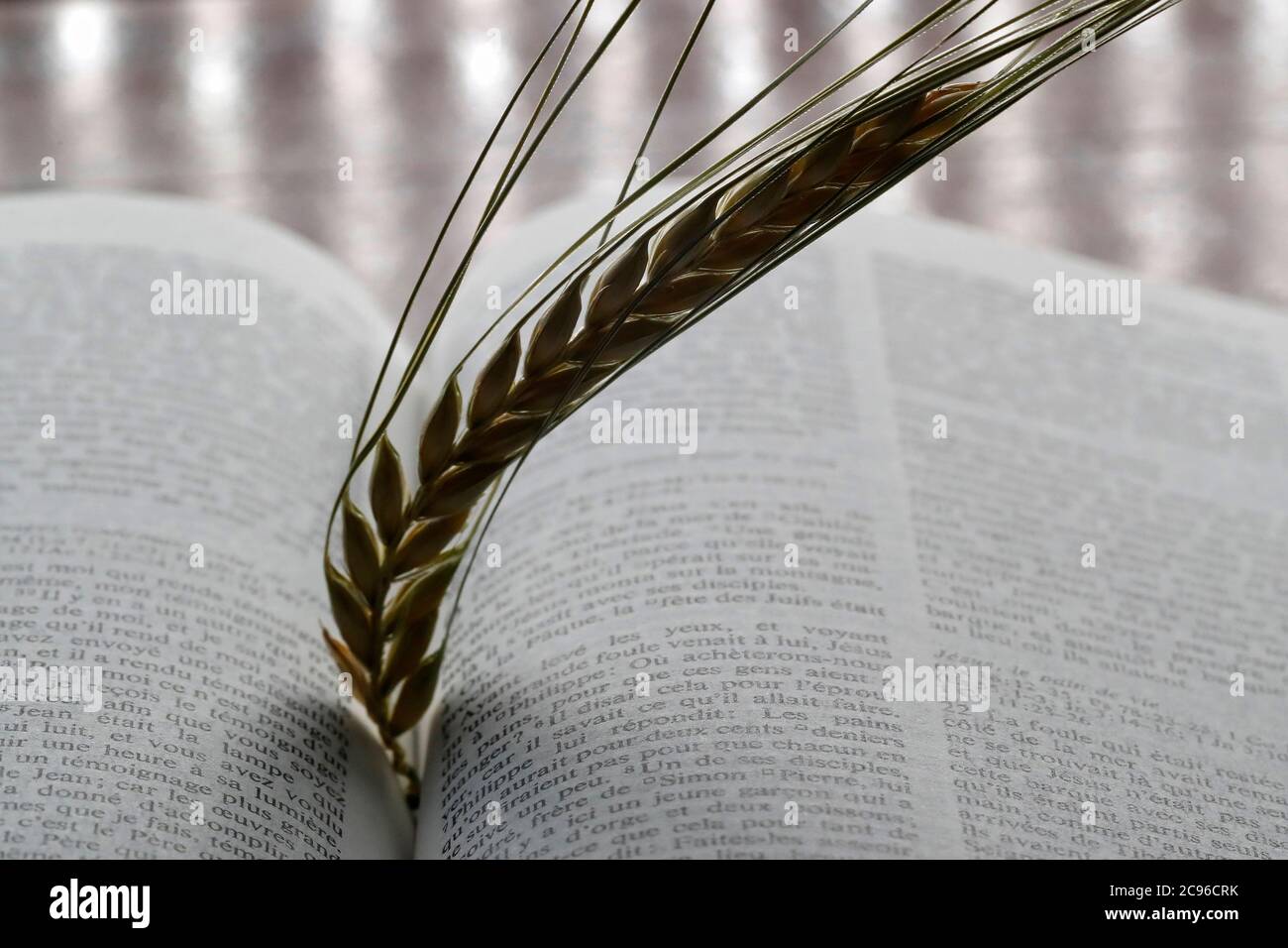 Le livre sacré de la Bible et l'oreille de blé comme symbole de la nourriture spirituelle et physique. France. Banque D'Images