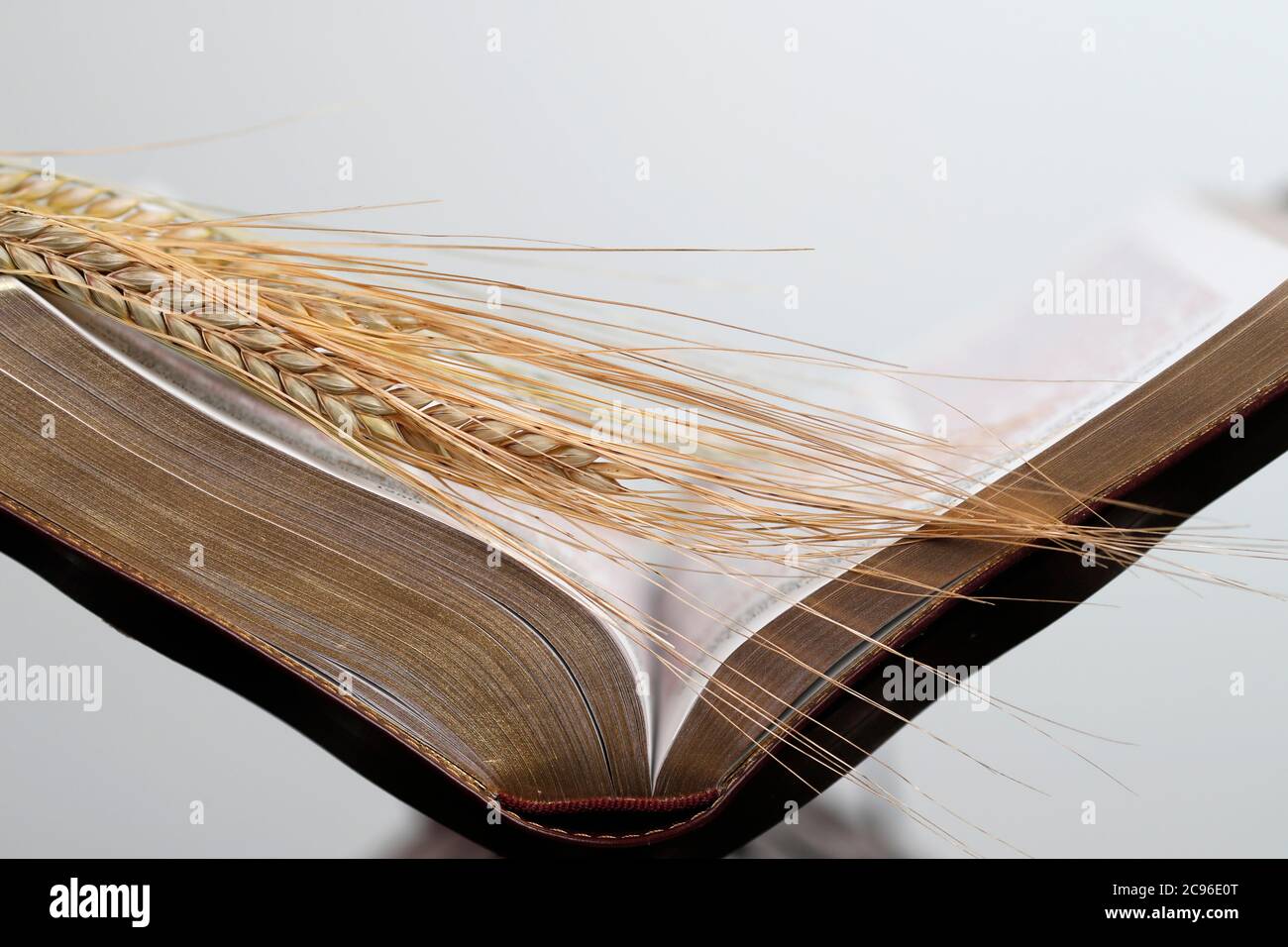 Le livre sacré de la Bible et les oreilles de blé comme symbole de la nourriture spirituelle et physique. France. Banque D'Images