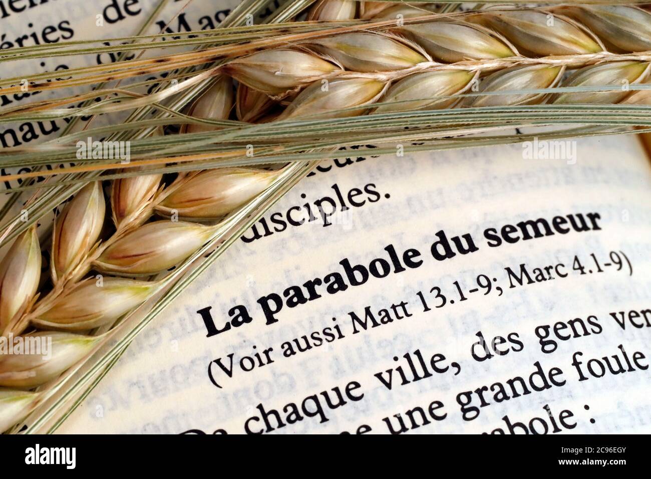 Le livre sacré de la Bible et les oreilles de blé comme symbole de la nourriture spirituelle et physique. La parabole de la Sower. France. Banque D'Images