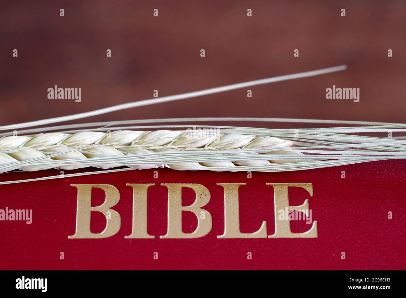Le livre sacré de la Bible et l'oreille de blé comme symbole de la nourriture spirituelle et physique. France. Banque D'Images