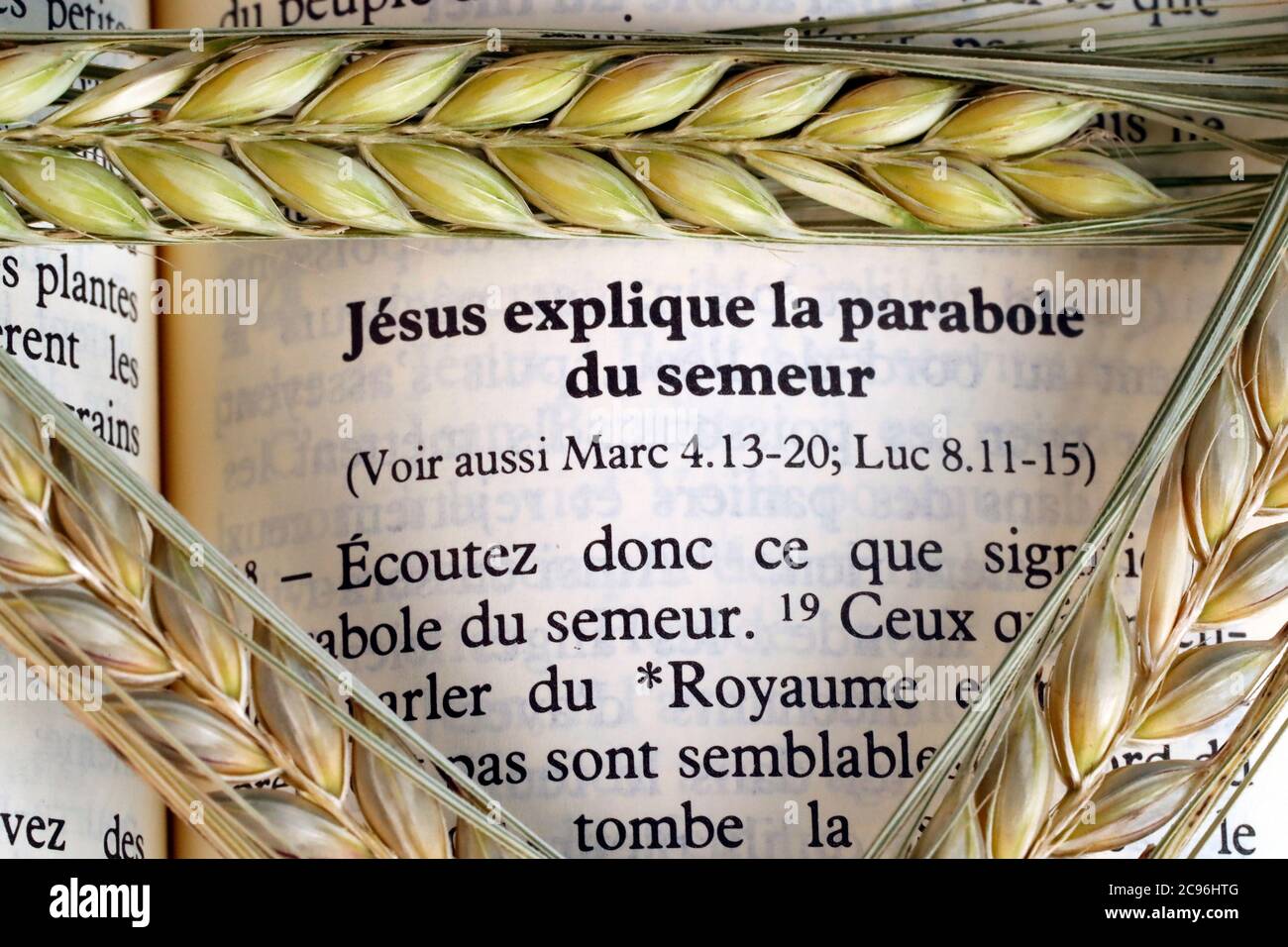 Le livre sacré de la Bible et les oreilles de blé comme symbole de la  nourriture spirituelle et physique. La parabole de la Sower. France Photo  Stock - Alamy