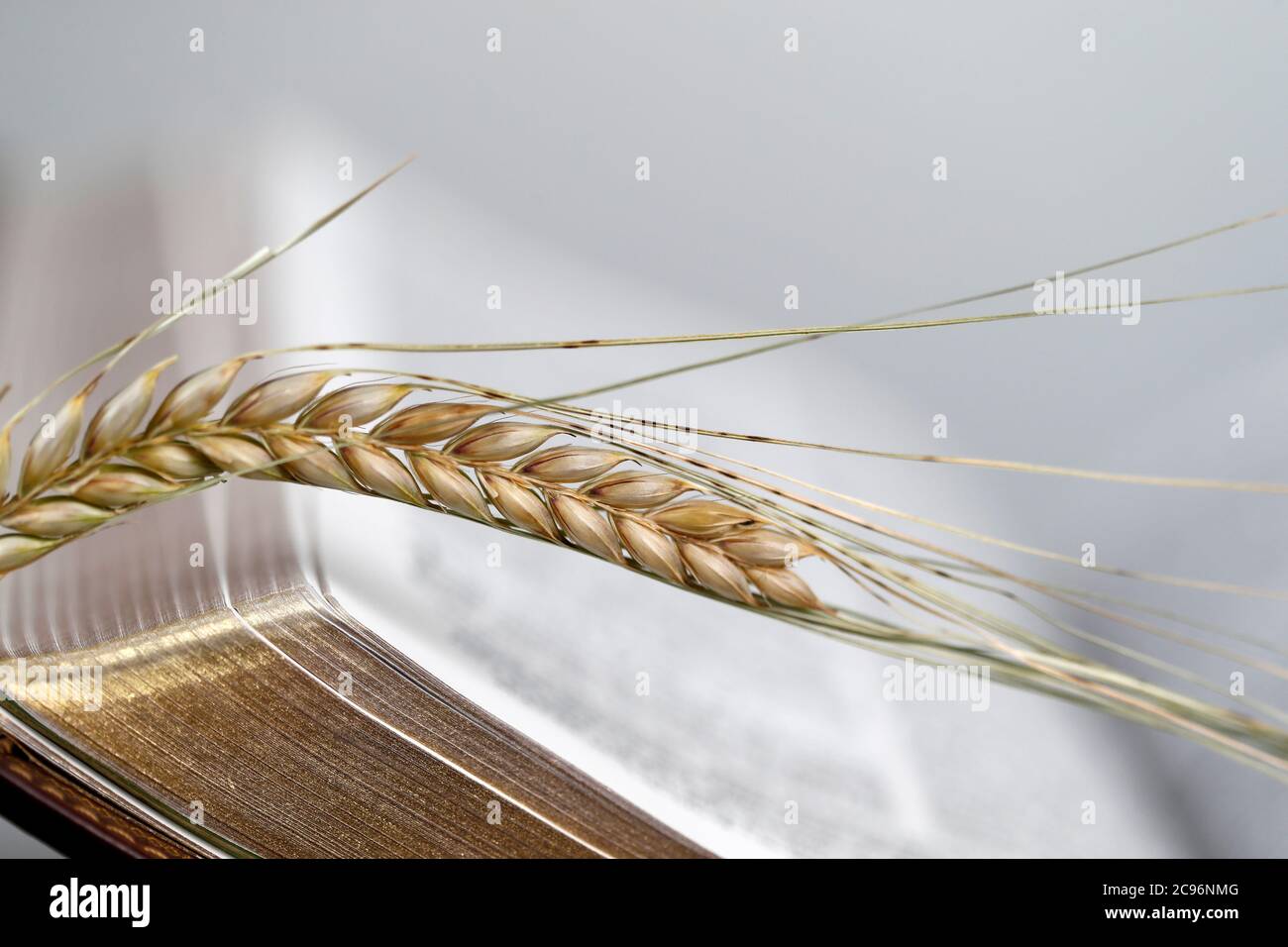 Le livre sacré de la Bible et les oreilles de blé comme symbole de la nourriture spirituelle et physique. France. Banque D'Images