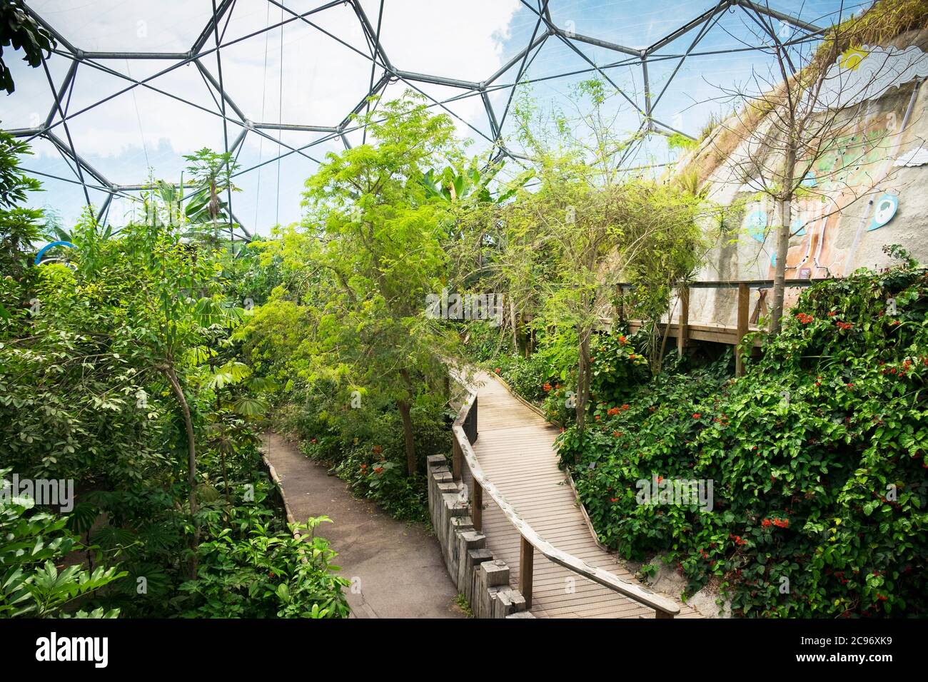L'intérieur de la forêt tropicale Biome au complexe de projet Eden à Cornwall. Banque D'Images