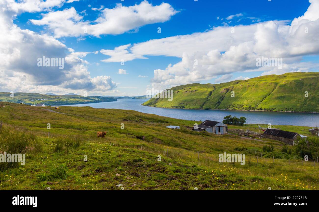 Une vue sur les collines jusqu'au Loch Harport sur l'île de Skye, en Écosse, avec un pâturage de vache des Highlands Banque D'Images