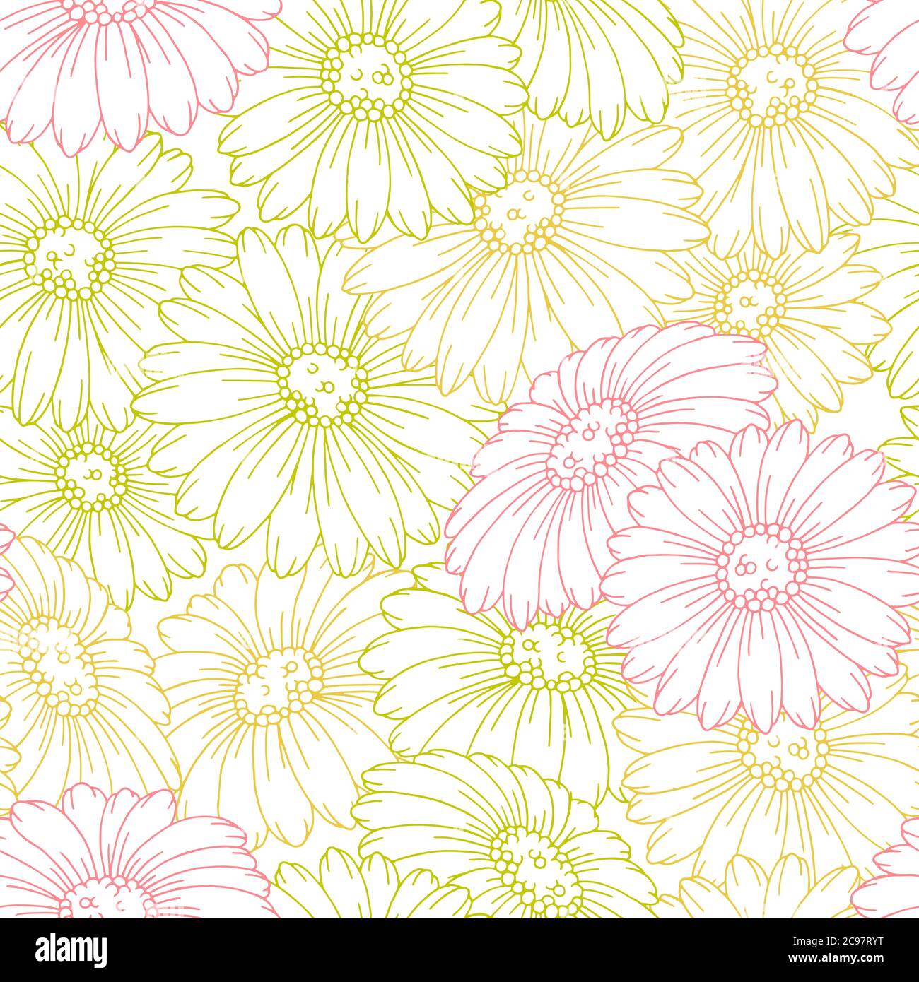 Camomille fleur graphique couleur motif sans couture arrière-plan esquisse illustration vecteur Illustration de Vecteur