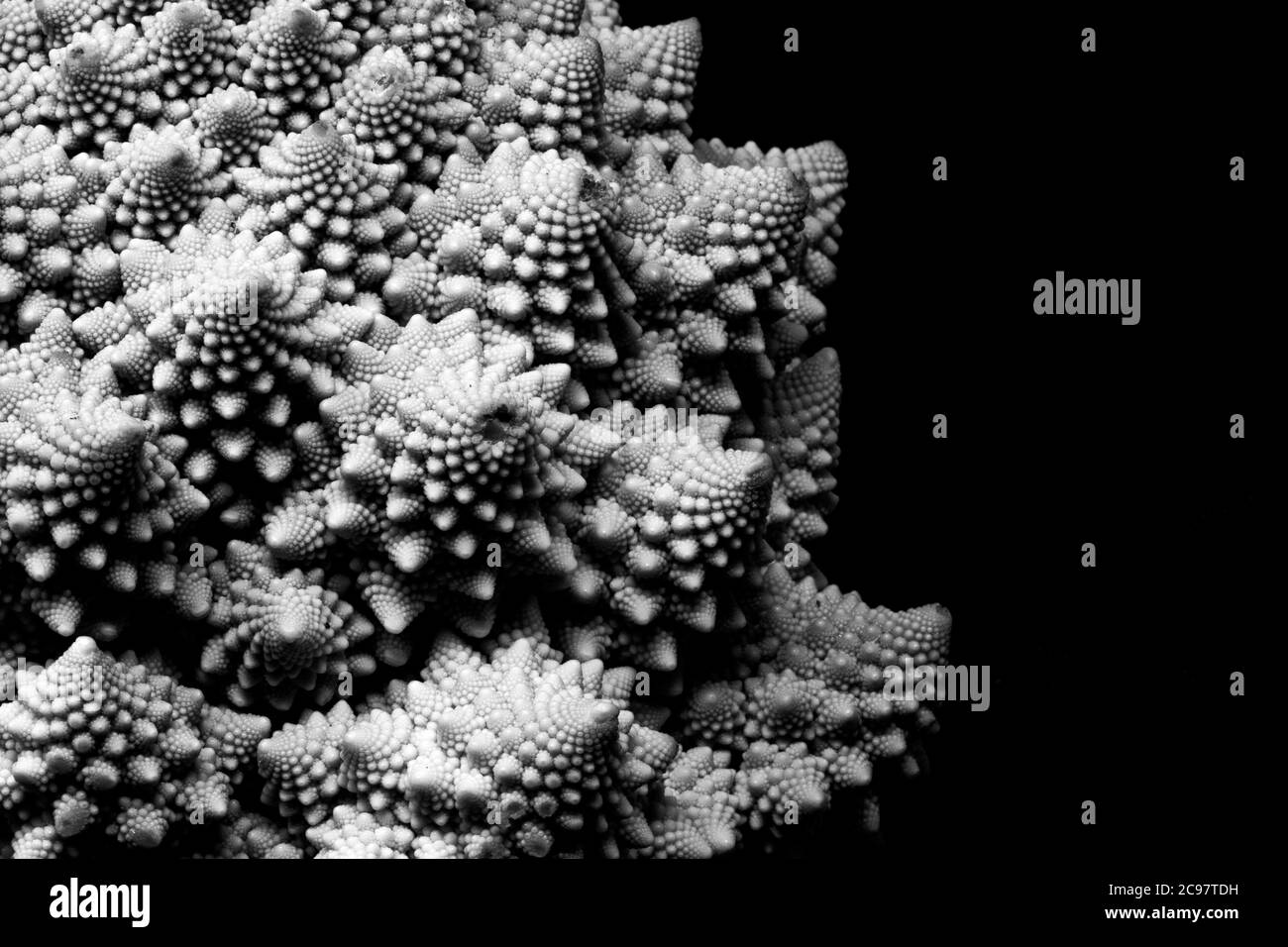 Photo en niveaux de gris de brocoli romanesco devant un noir arrière-plan Banque D'Images