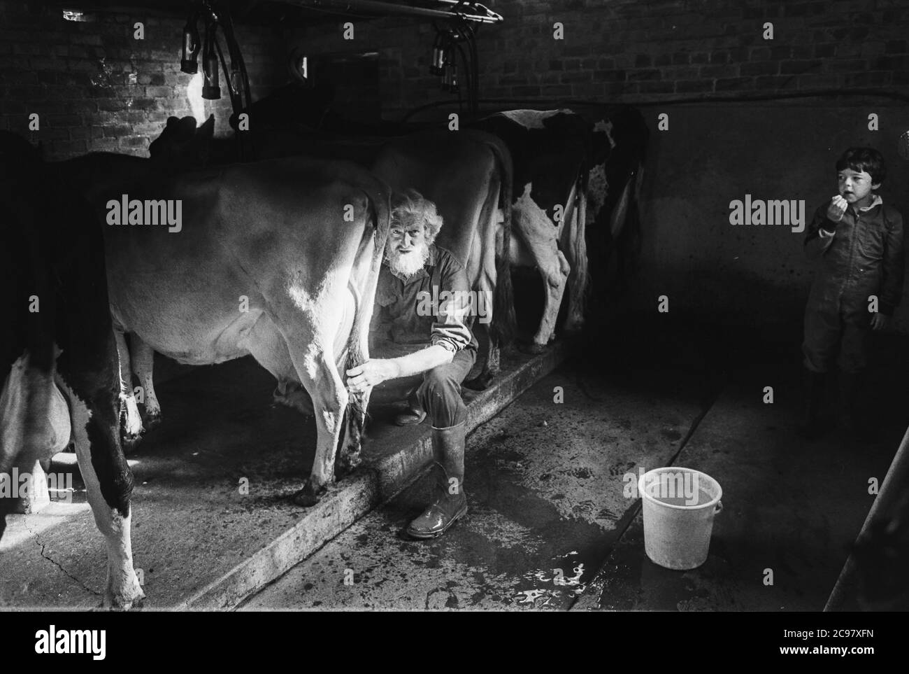 Fabrication de fromage biologique Carmarthenshire années 1990 Pantyllyn Farm, AnnGraeme Young Banque D'Images