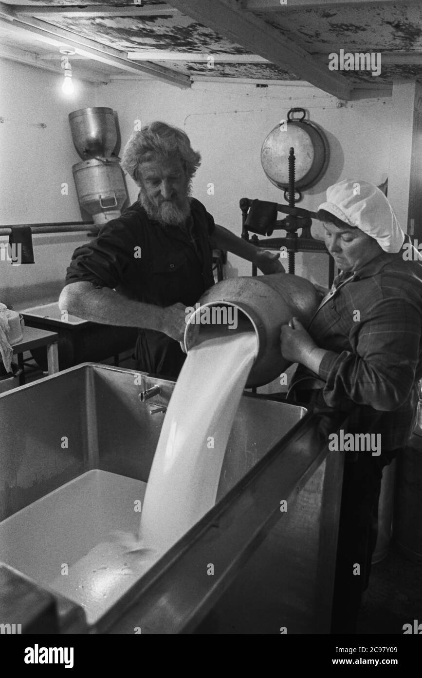 Fabrication de fromage biologique Carmarthenshire années 1990 Pantyllyn Farm, Ann et Graeme Young Banque D'Images