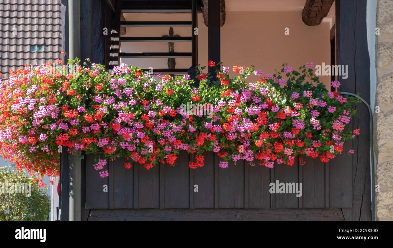 Fleurs colorées sur le balcon d'une ferme Banque D'Images