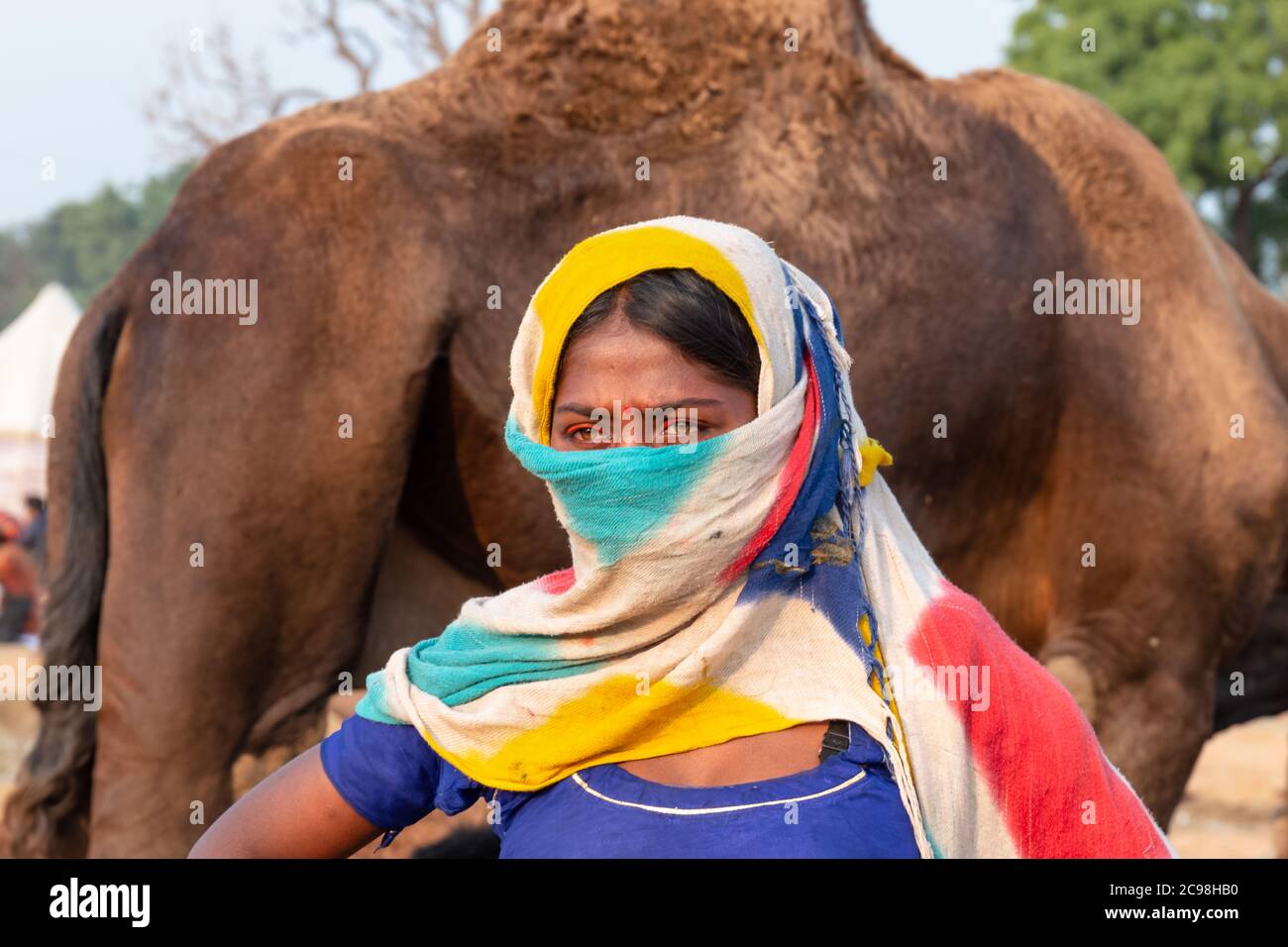 Un portrait de la jeune femme indienne en robe ethnique et bijoux au parc d'expositions Pushkar Camel, Pushkar, Rajasthan, Inde Banque D'Images