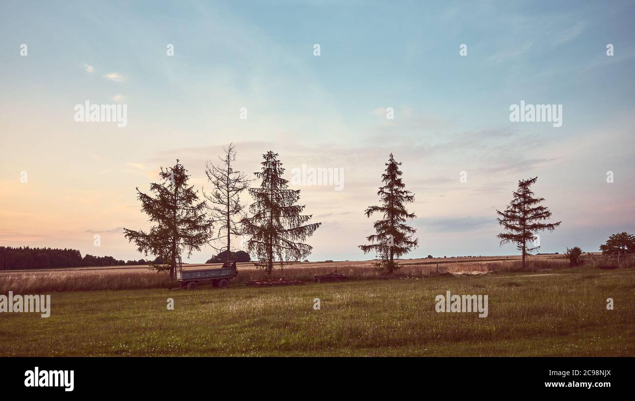 Paysage rural paisible au coucher du soleil, image stylisée de couleur rétro. Banque D'Images