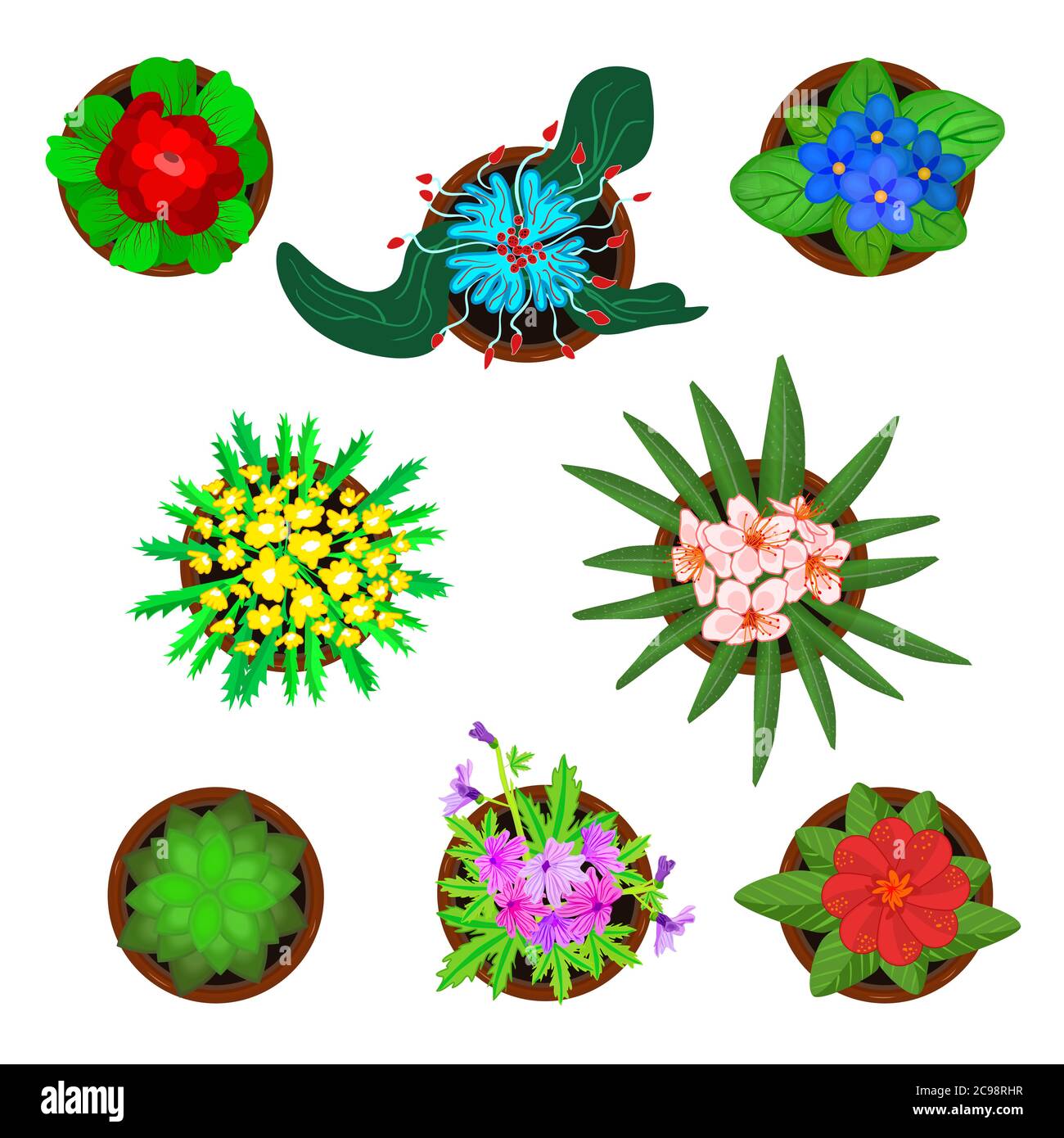 Ensemble de fleurs dans des pots isolés sur fond blanc. Collection Icon de plantes vue de dessus avec fleurs. Fleurs vertes d'origine dans l'illustration pots.stock vectoriel Illustration de Vecteur