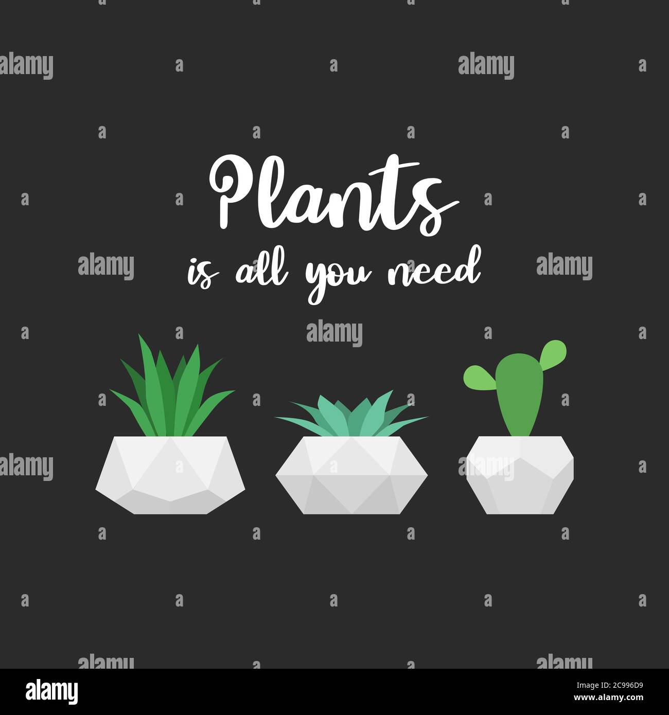 Les plantes sont tout ce dont vous avez besoin. Motif vectoriel pour un imprimé t-shirt. Succulents et cactus sur fond noir Illustration de Vecteur