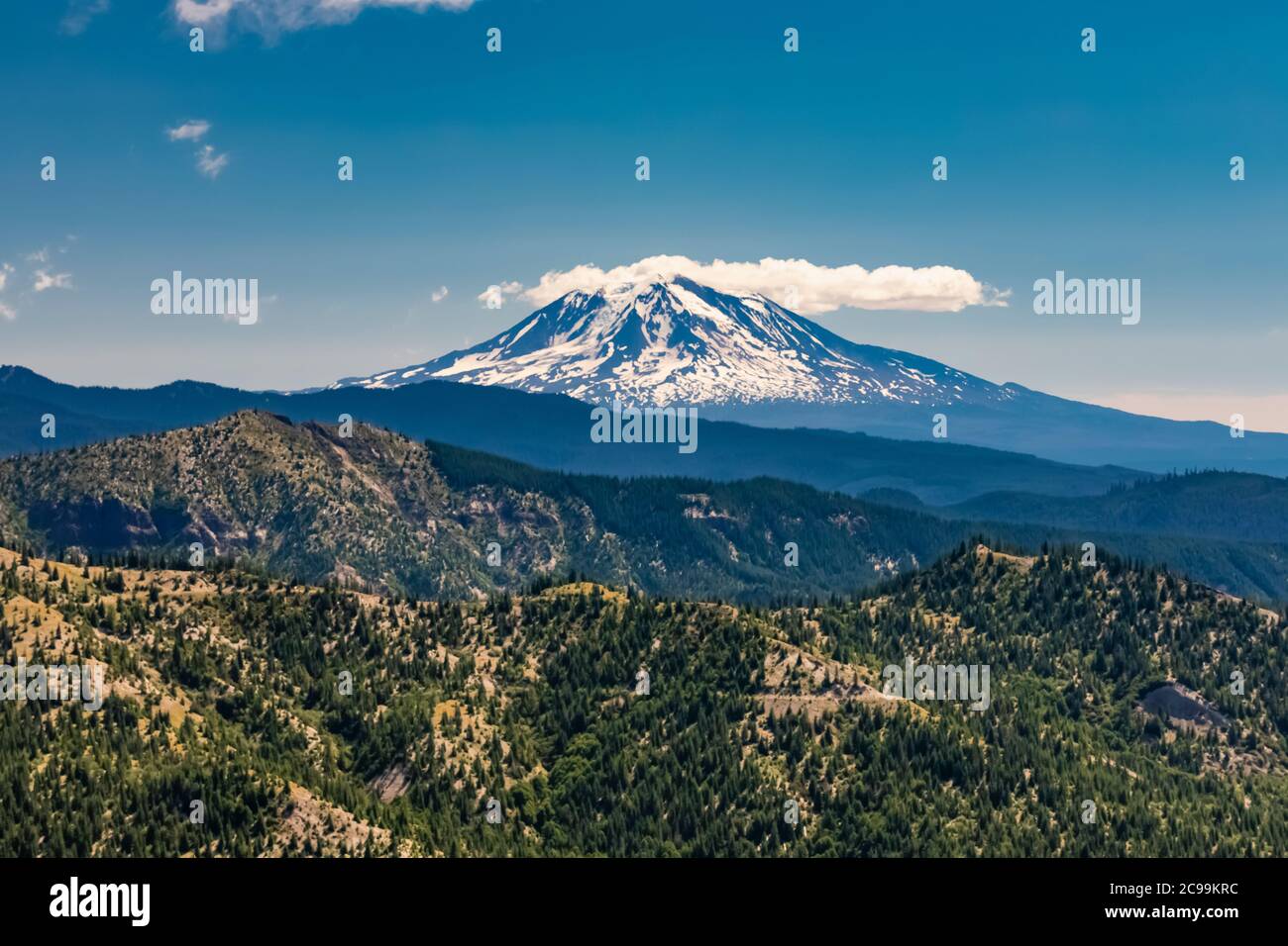 Mount Adams vue depuis la région de Windy Ridge du monument volcanique national de Mount St. Helens, dans la zone d'abattage à l'explosif, forêt nationale Gifford Pinchot, Washi Banque D'Images