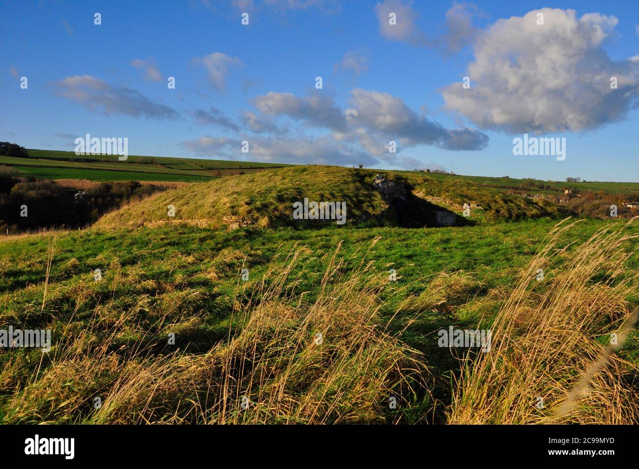 La longue barrow néolithique de Stoney Littleton est située sur une colline surplombant le ruisseau Wollow dans Somerset. Cette tombe de sept chambered a été construite vers 3800 Banque D'Images
