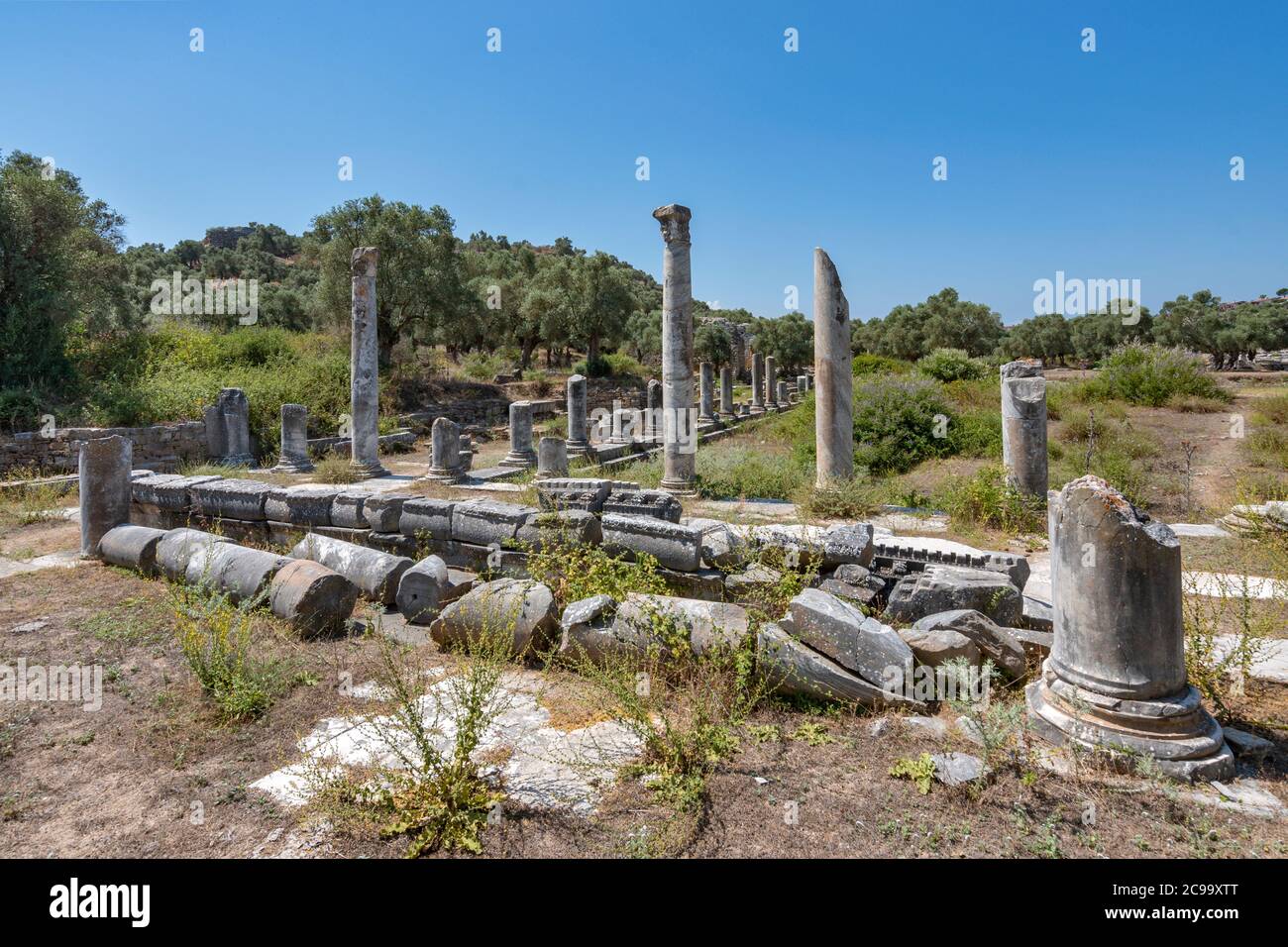 Iasos ville grecque dans le district de Milas de la province de Mugla en Turquie Banque D'Images