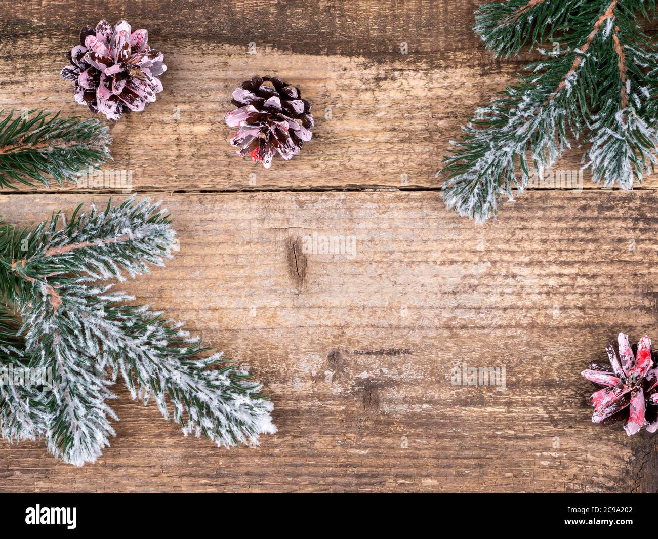 Branches d'arbre de Noël sous la neige et les cônes roses. Banque D'Images