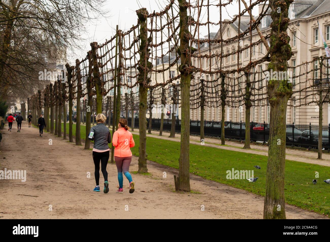 BRUXELLES, BELGIQUE - 30 DÉCEMBRE 2018 : personnes en course à Bruxelles Park, Belgique, le 30 décembre 2018. Banque D'Images