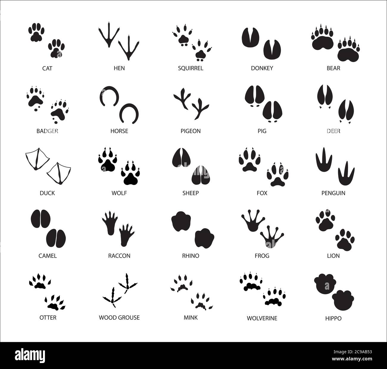 Ensemble de différentes pistes de silhouette d'animaux et d'oiseaux avec description isolée sur fond blanc illustration de vecteur plat Illustration de Vecteur