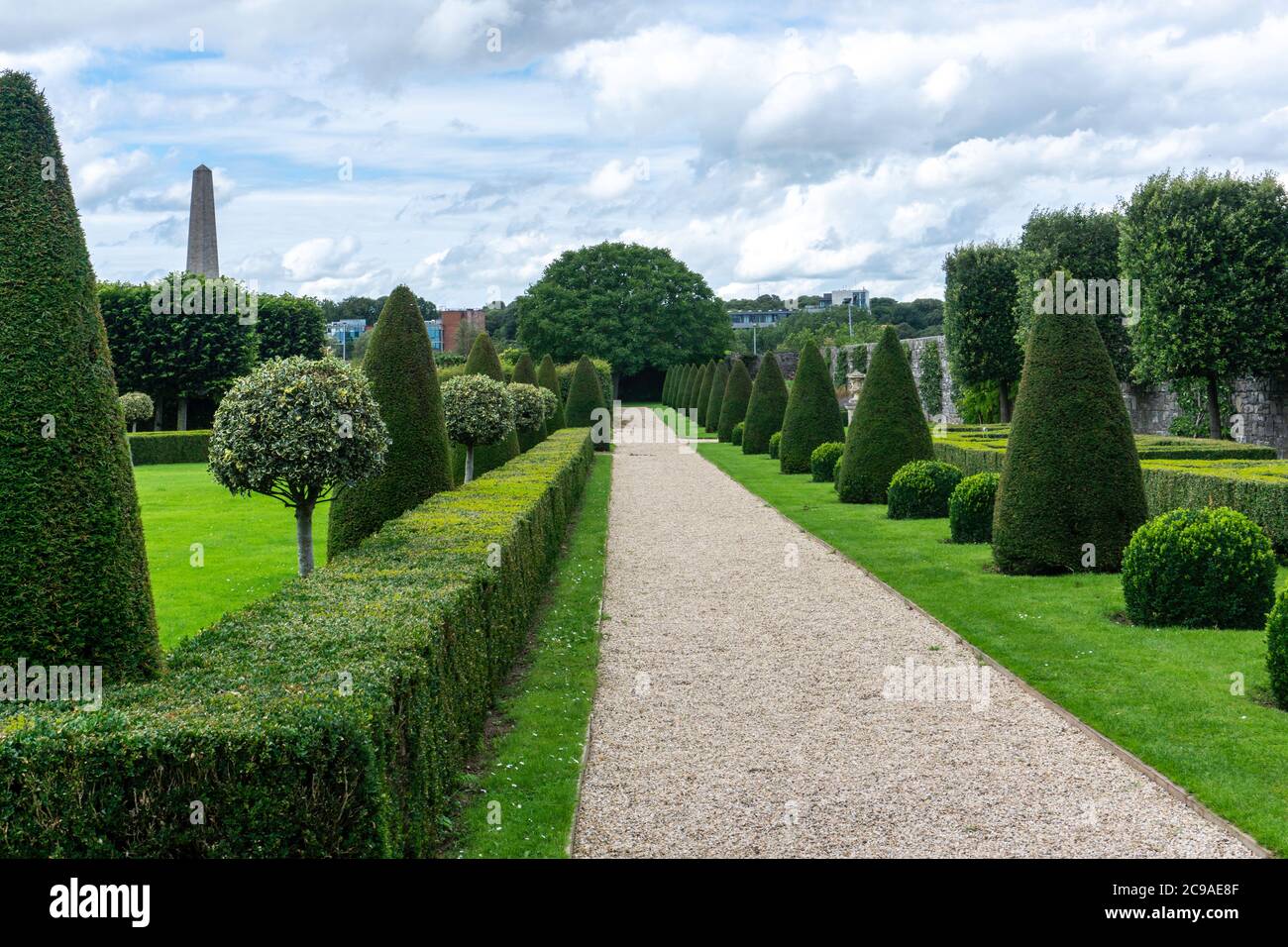 Une avenue de Buxus sempervirens (usine de fabrication de boîtes) est organisée ici comme cônes topiaires dans l'hôpital Royal, Kilmainham, Dublin, Irlande. Banque D'Images
