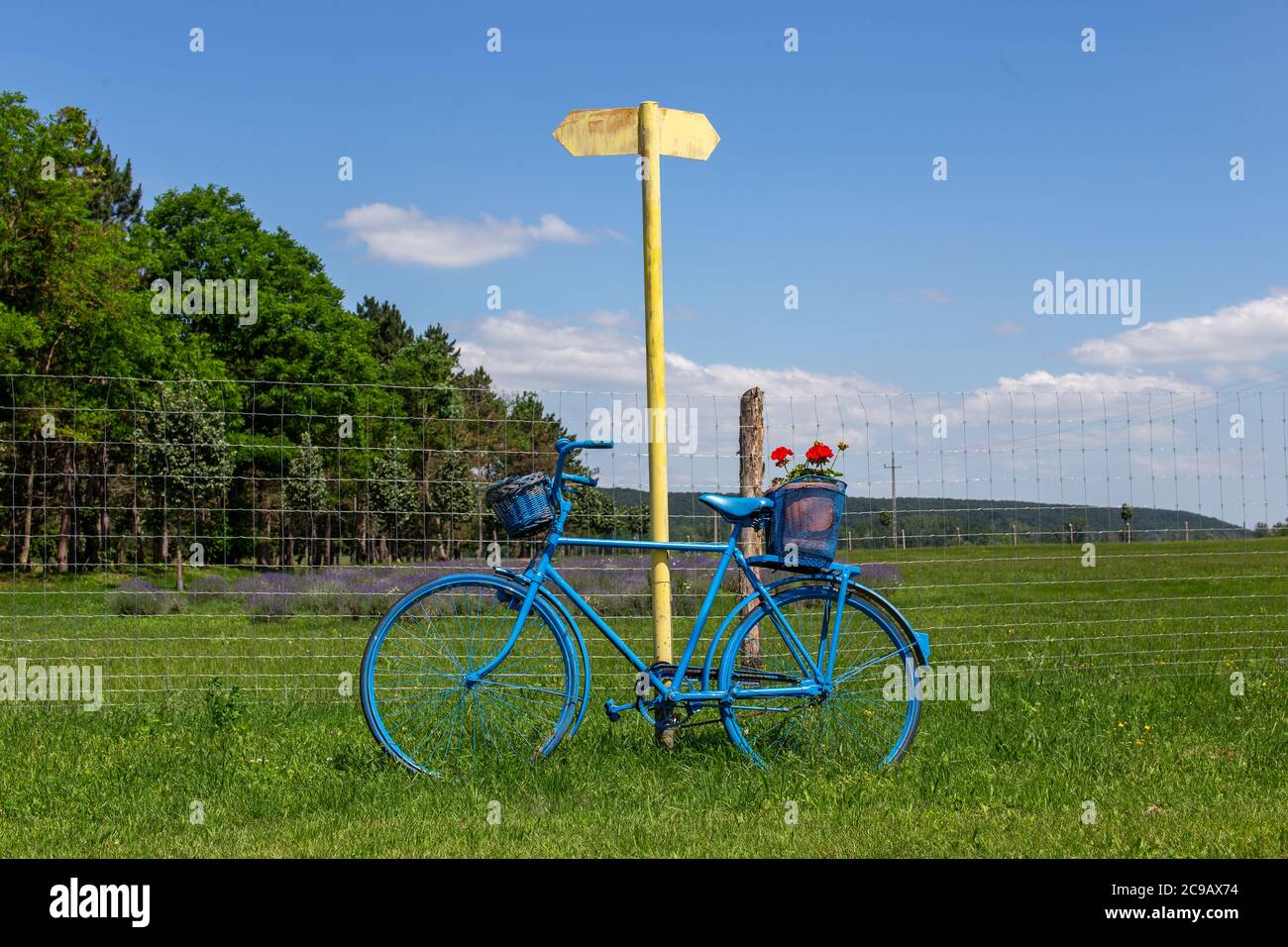 Vieux vélo rural bleu sur la prairie à la campagne Banque D'Images