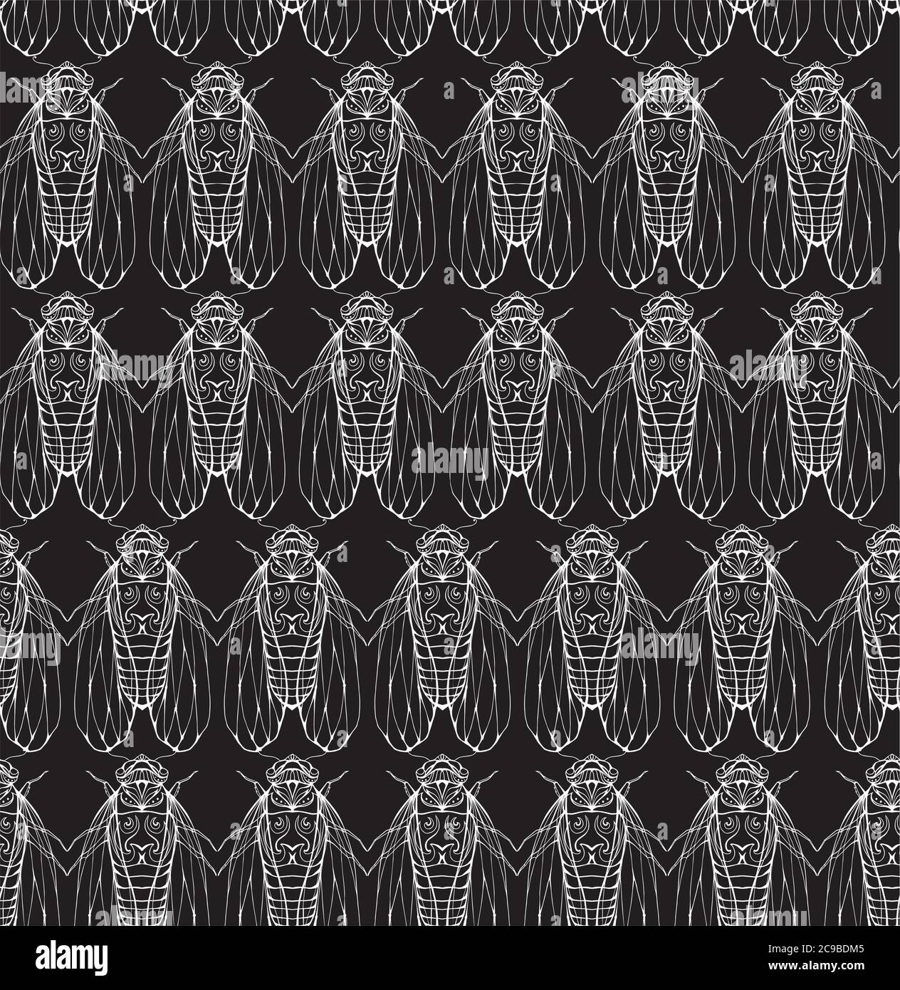 Texture sans couture sur tableau noir avec cigales. Fond vectoriel pour votre créativité Illustration de Vecteur