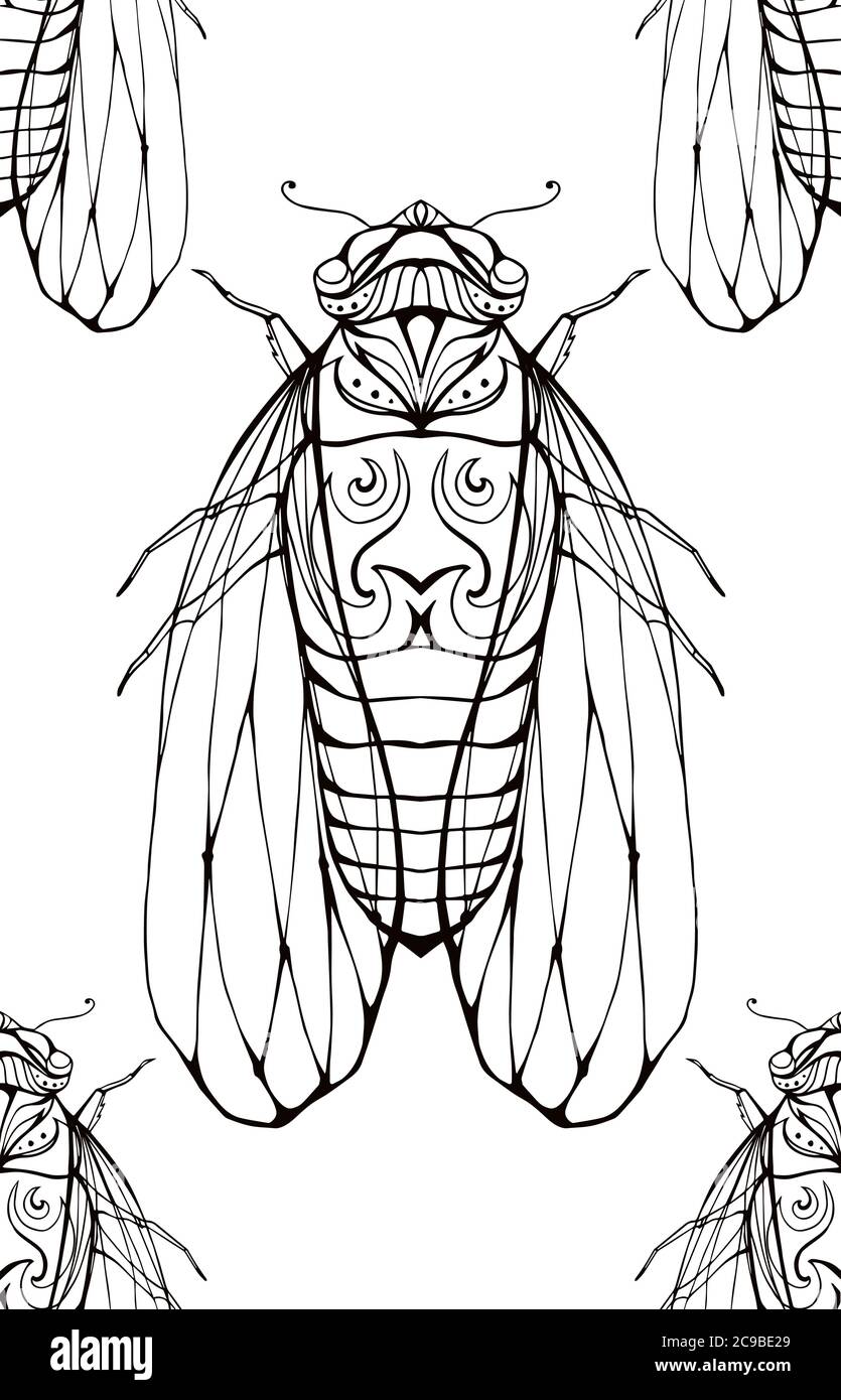 Texture sans couture avec contour cigadas motif boho. Vecteur pour votre créativité Illustration de Vecteur
