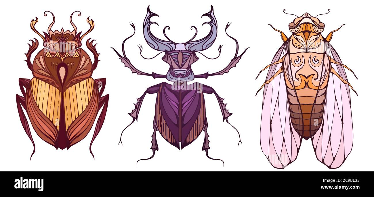 Ensemble d'insectes de couleur avec un motif tribal. La scarabée, la cicada et le coléoptère se séparent de l'arrière-plan. Vecteur pour votre créativité Illustration de Vecteur