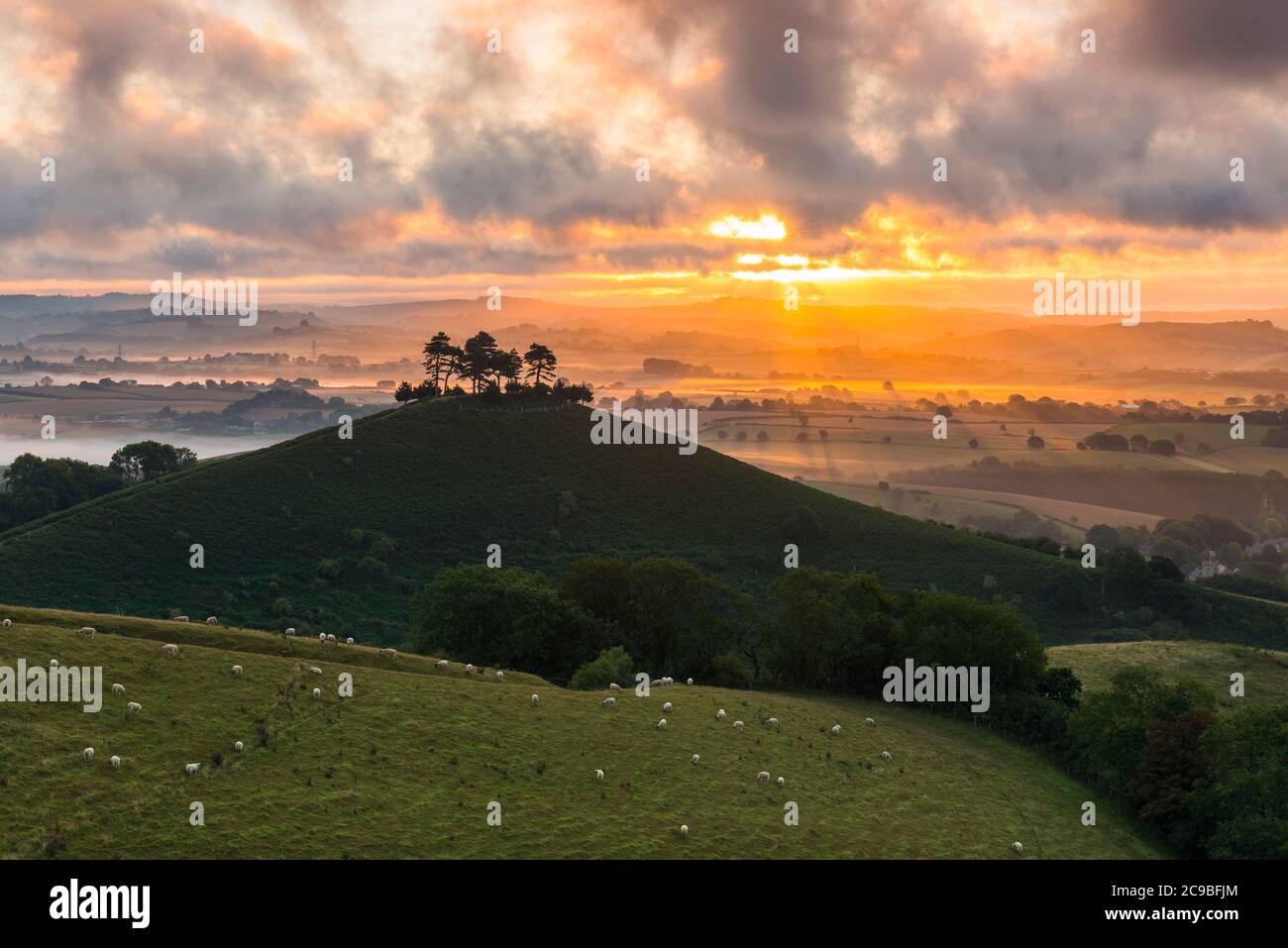 Bridport, Dorset, Royaume-Uni. 30 juillet 2020. Météo Royaume-Uni. Un lever de soleil spectaculaire à Colmers Hill près de Bridport dans Dorset tandis que le soleil levant envoie des rayons du soleil qui brillent à travers les nuages bas avant une journée d'été chaude prévue. Crédit photo : Graham Hunt/Alamy Live News Banque D'Images