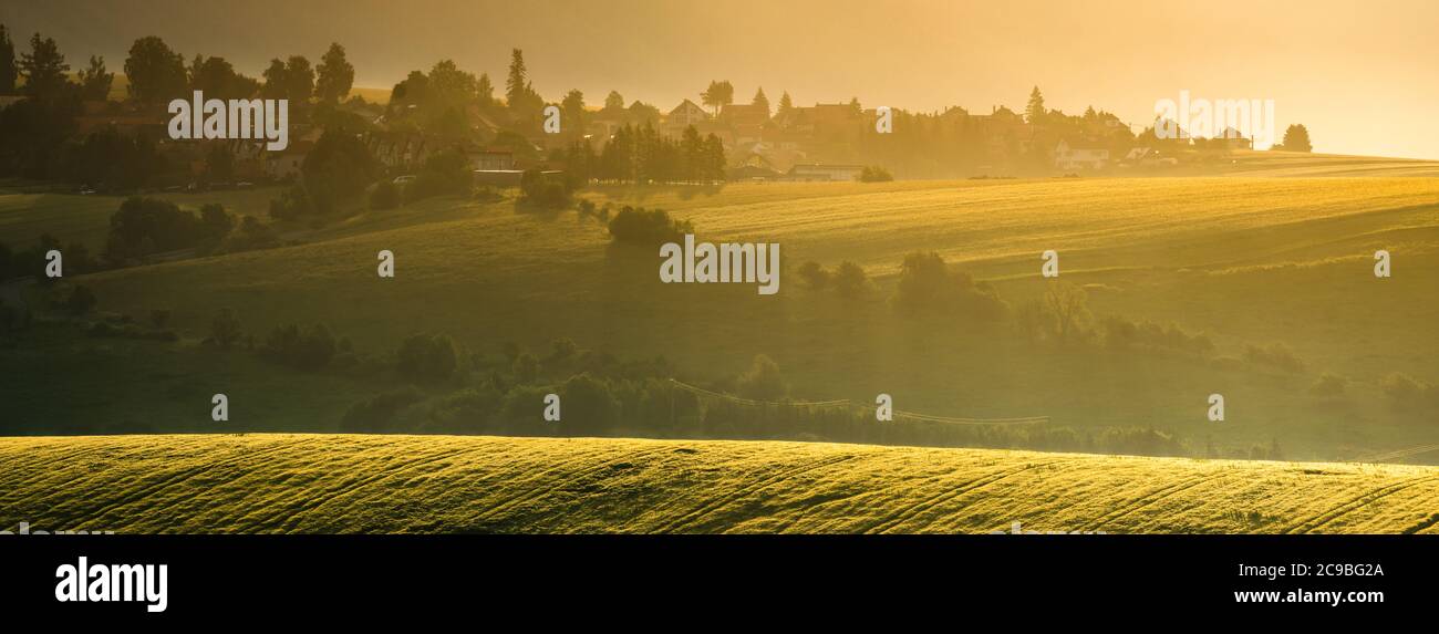 panorama de magnifiques champs verts sur une belle matinée brumeuse. Paysage rappelant la Toscane Banque D'Images