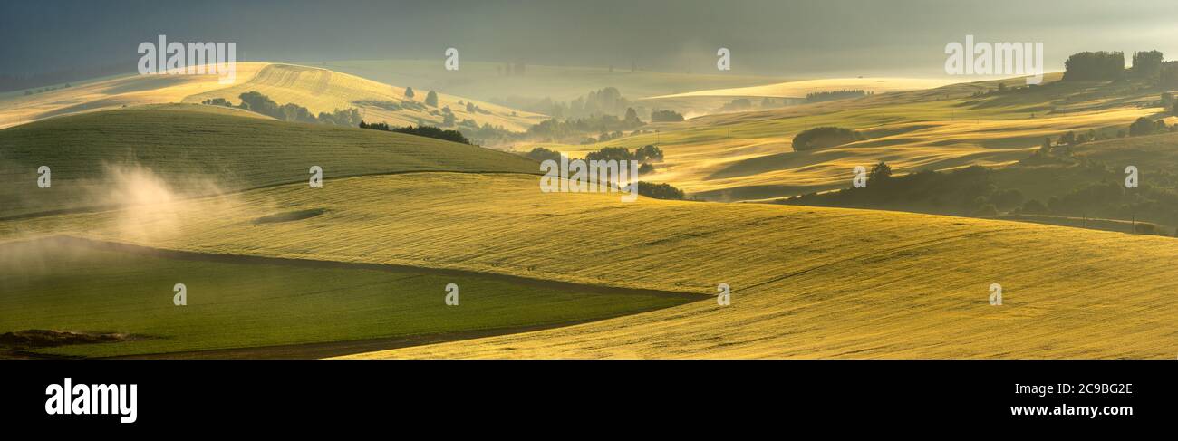 panorama de magnifiques champs verts sur une belle matinée brumeuse. Paysage rappelant la Toscane Banque D'Images